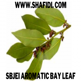 AROMATIC BAY LEAF